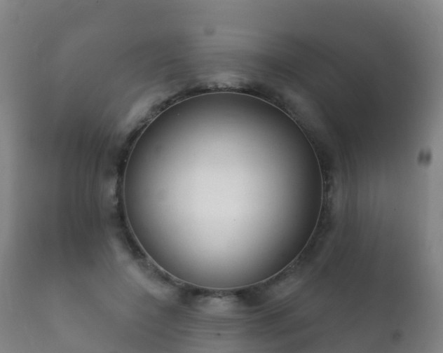 X0000112360548200908201505