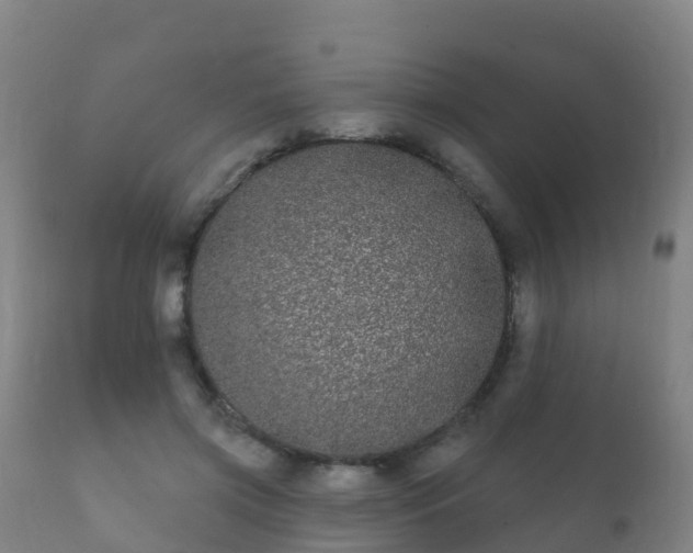 X0000112360549200908201505