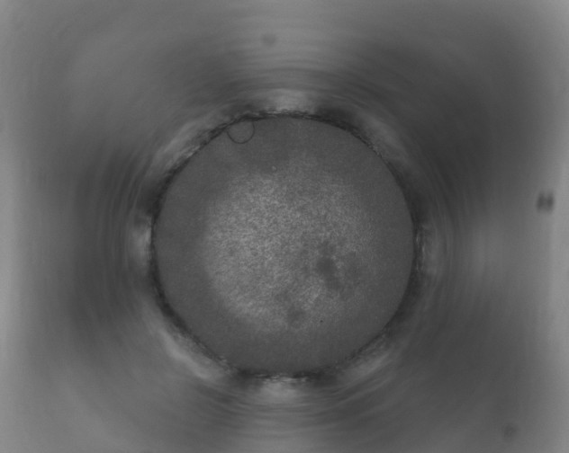 X0000112360550200908201505