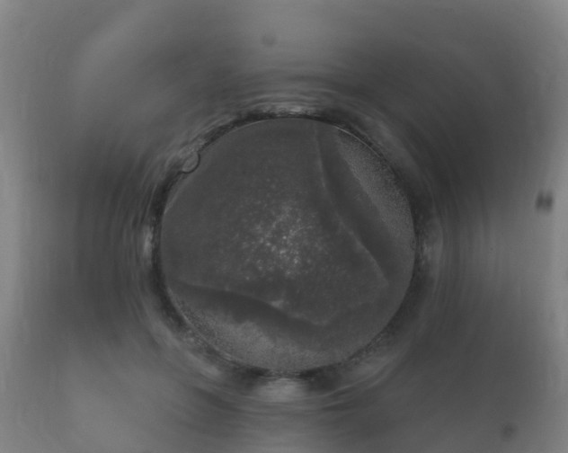 X0000112360551200908201505