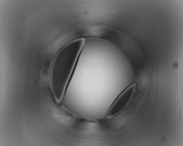 X0000112360552200908201505