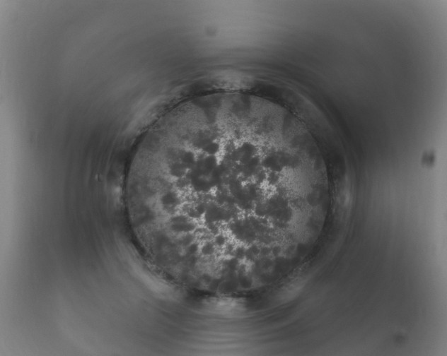 X0000112360553200908201505