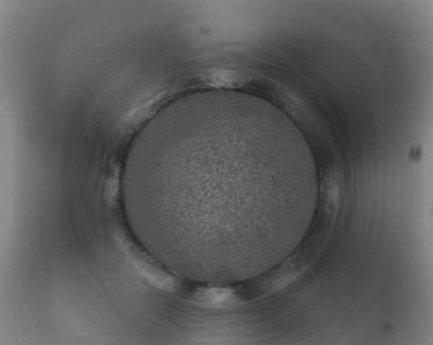 X0000112360554200908201505