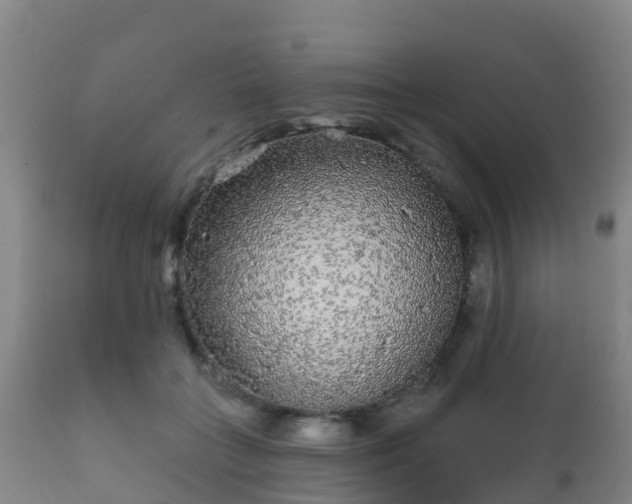 X0000112360555200908201505