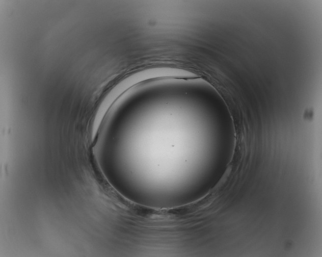 X0000112360556200908201505