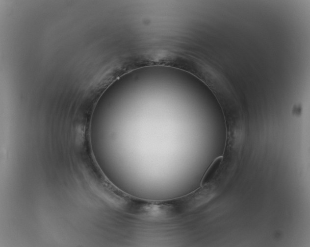 X0000112360558200908201505