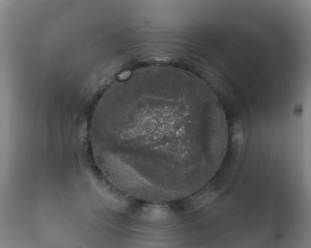 X0000112360559200908201505