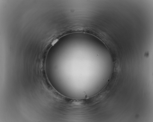 X0000112360560200908201505