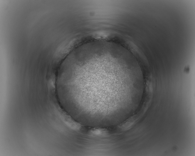 X0000112360561200908201505