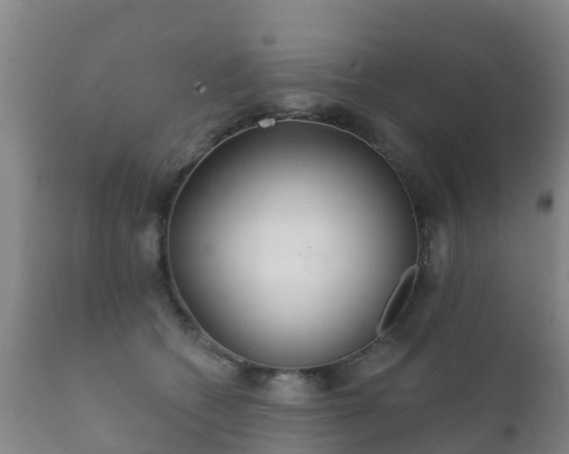 X0000112360562200908201505