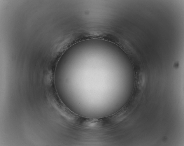 X0000112360563200908201505