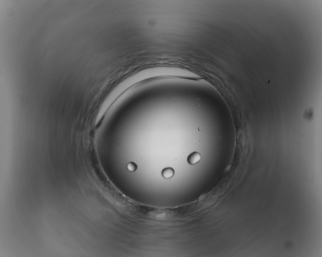 X0000112360564200908201505