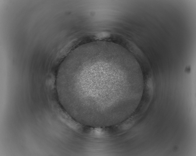 X0000112360565200908201505