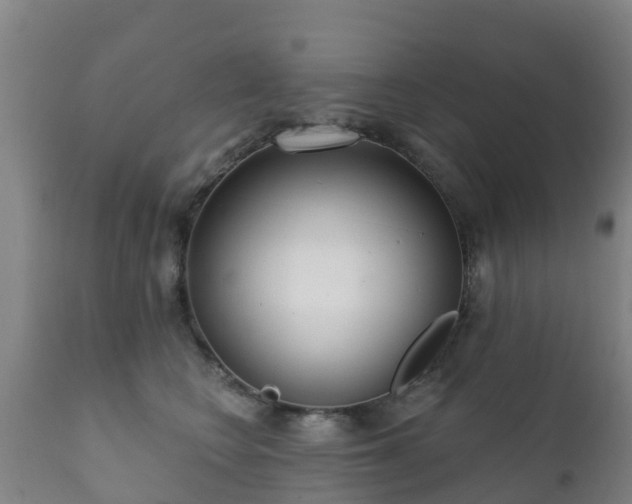 X0000112360566200908201505