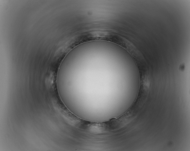 X0000112360567200908201505