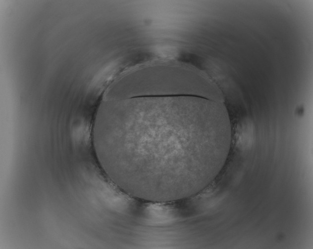 X0000112360568200908201506