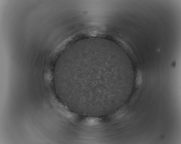 X0000112360569200908201506