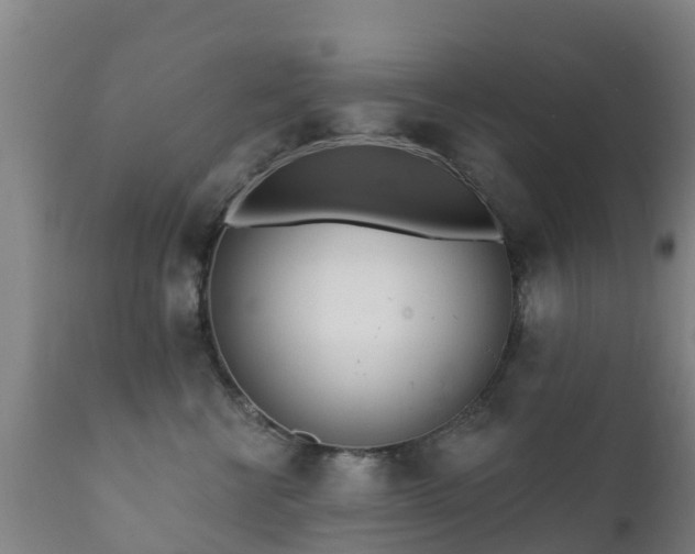 X0000112360570200908201506