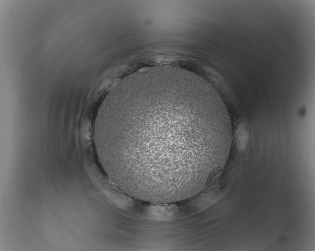 X0000112360571200908201506