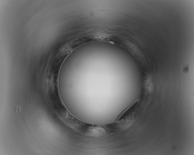 X0000112360572200908201506