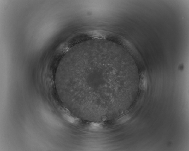 X0000112360573200908201506