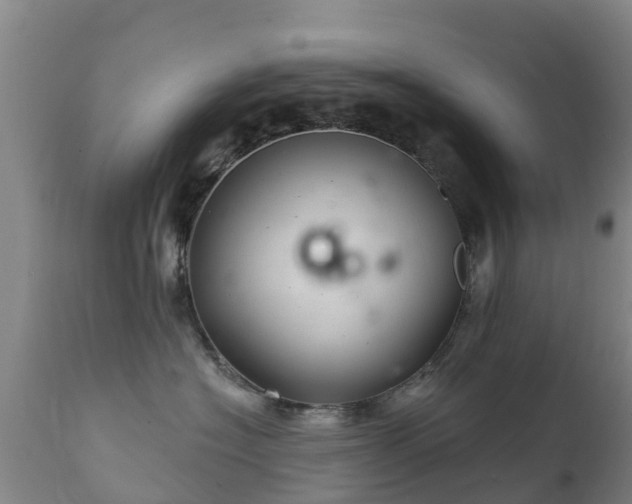 X0000112360574200908201506