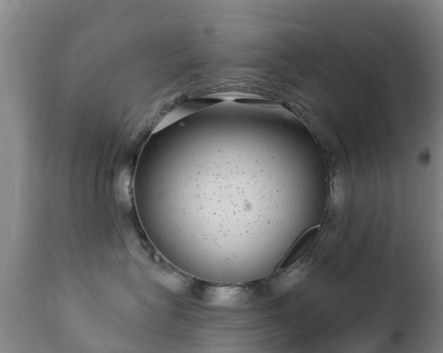 X0000112360575200908201506