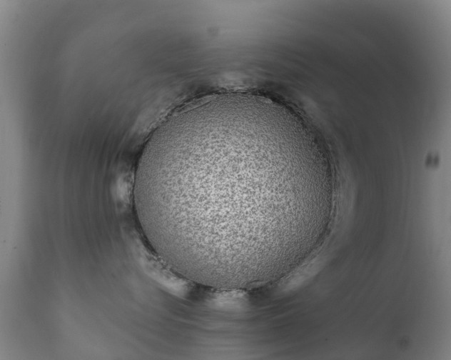 X0000112360576200908201506