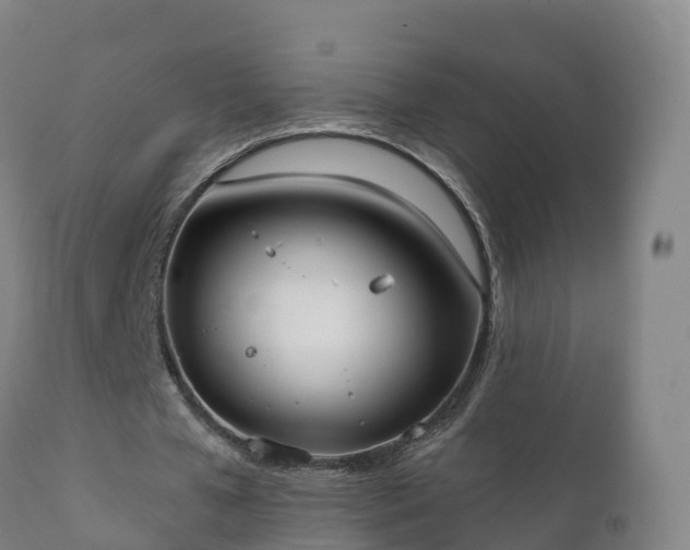 X0000112360577200908201505