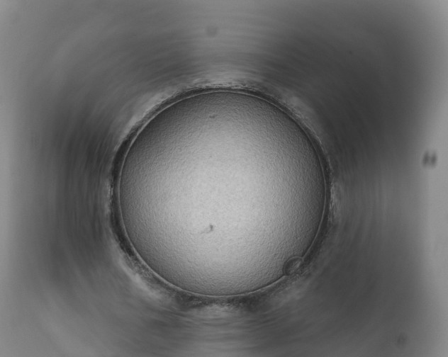 X0000112360578200908201505