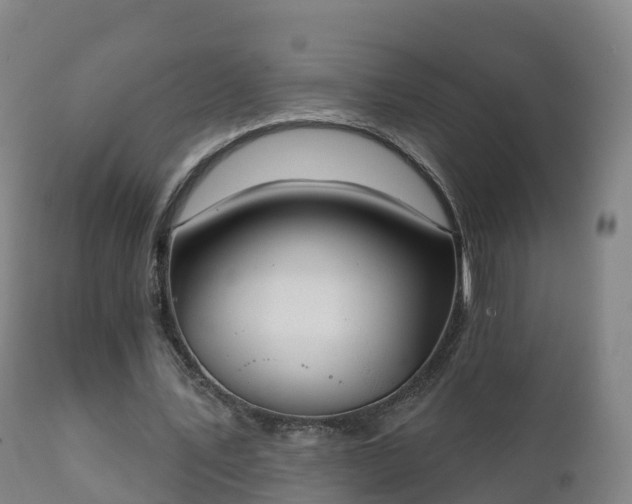 X0000112360579200908201505