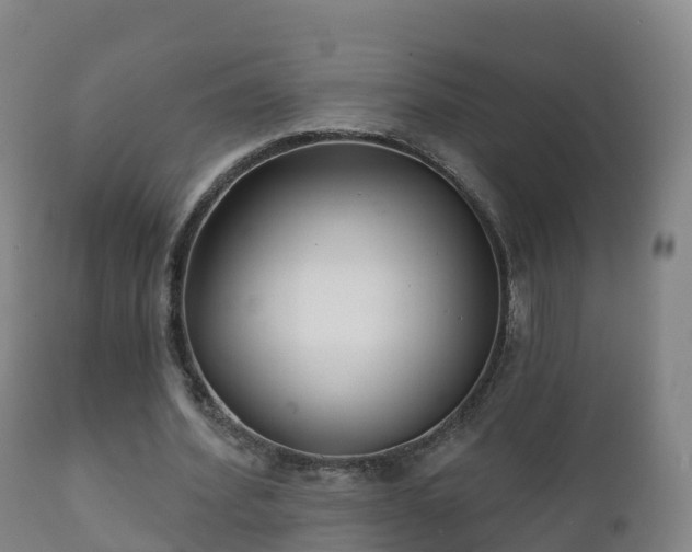 X0000112360580200908201505