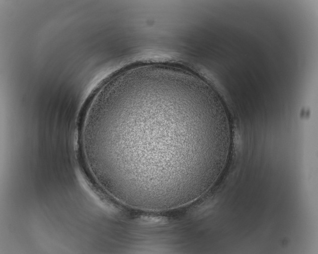 X0000112360582200908201505