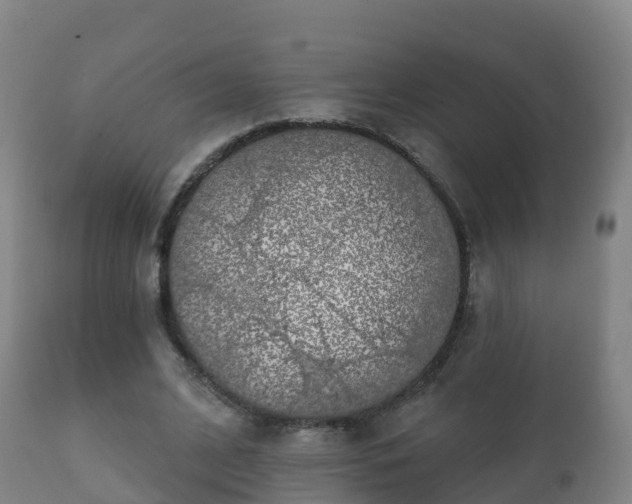 X0000112360584200908201505