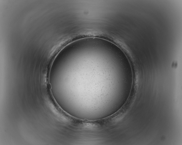 X0000112360585200908201505