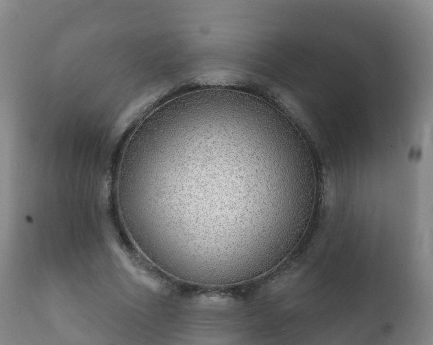 X0000112360586200908201505