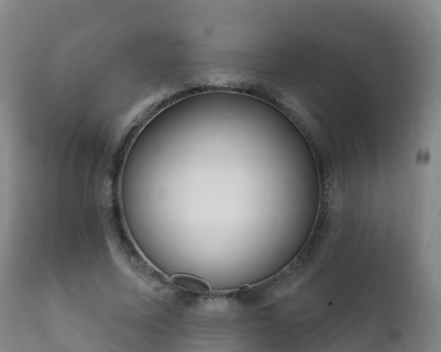 X0000112360587200908201505