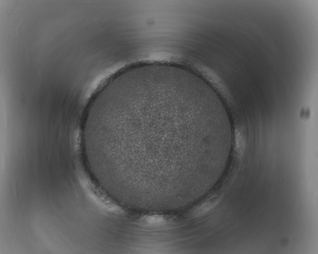 X0000112360588200908201505