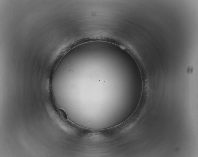 X0000112360589200908201505