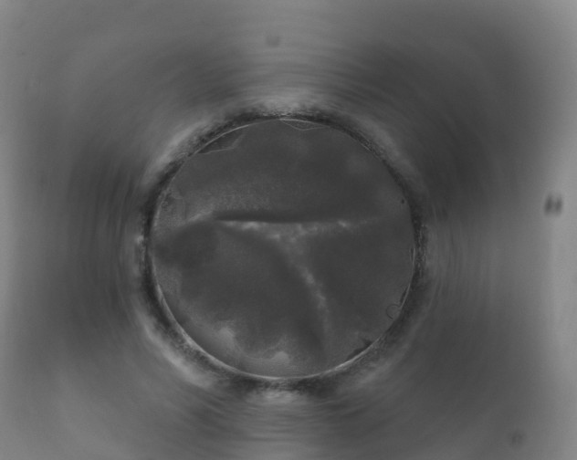 X0000112360590200908201505