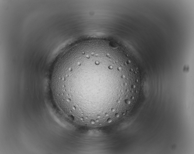 X0000112360591200908201505