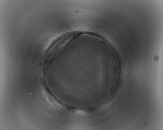 X0000112360592200908201505