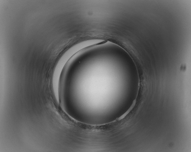 X0000112360593200908201505