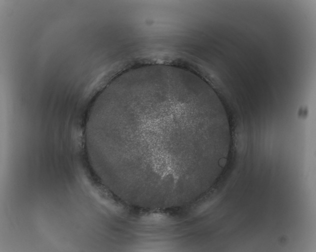 X0000112360594200908201505