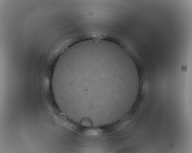 X0000112360595200908201505