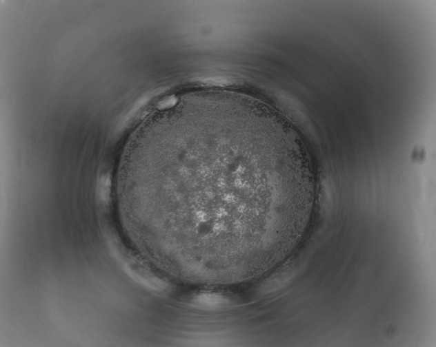 X0000112360596200908201505