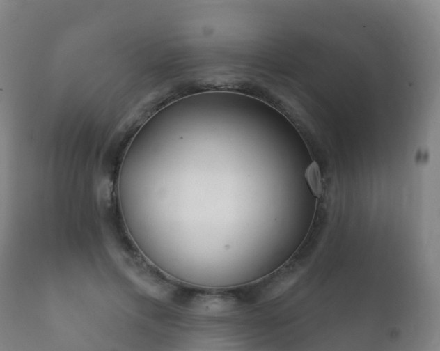 X0000112360597200908201505