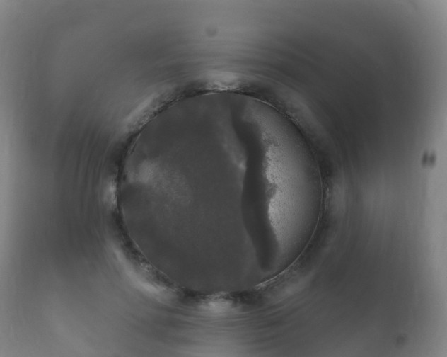 X0000112360598200908201505