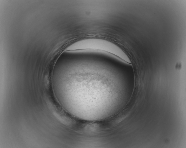 X0000112360599200908201505