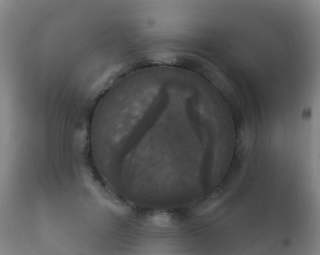 X0000112360600200908201505